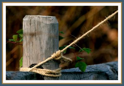 fence post with twine