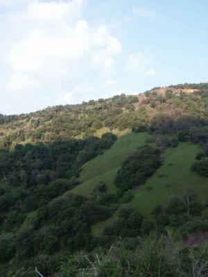 Central California Countryside