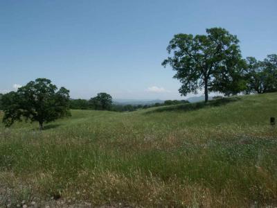 Outside of Yosemite