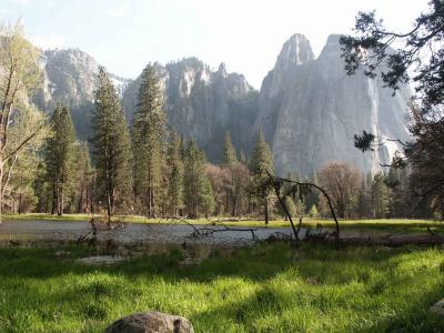 Green Pasture at Yosemite
