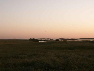 Countryside Sunset II