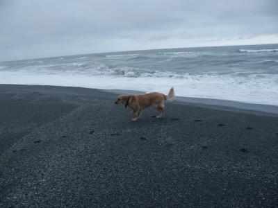 MacGyver's First Trip to a Beach