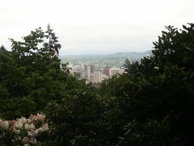 Portland, Oregon from Afar