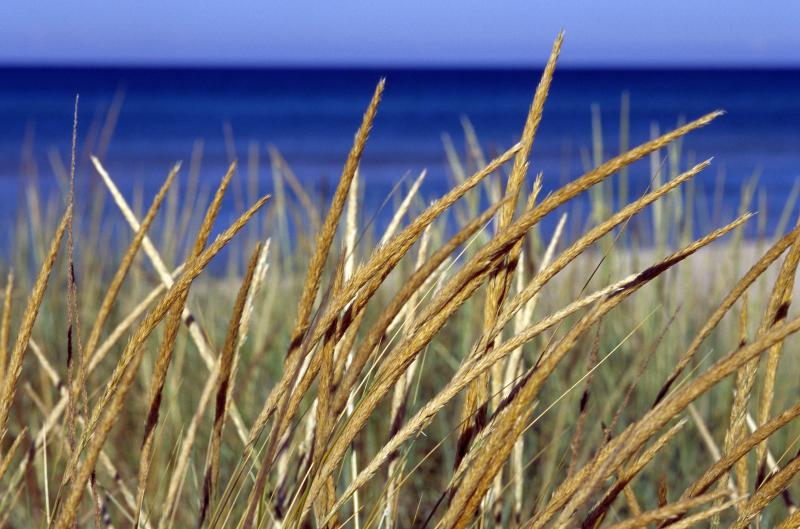 Down by Lake Michigan