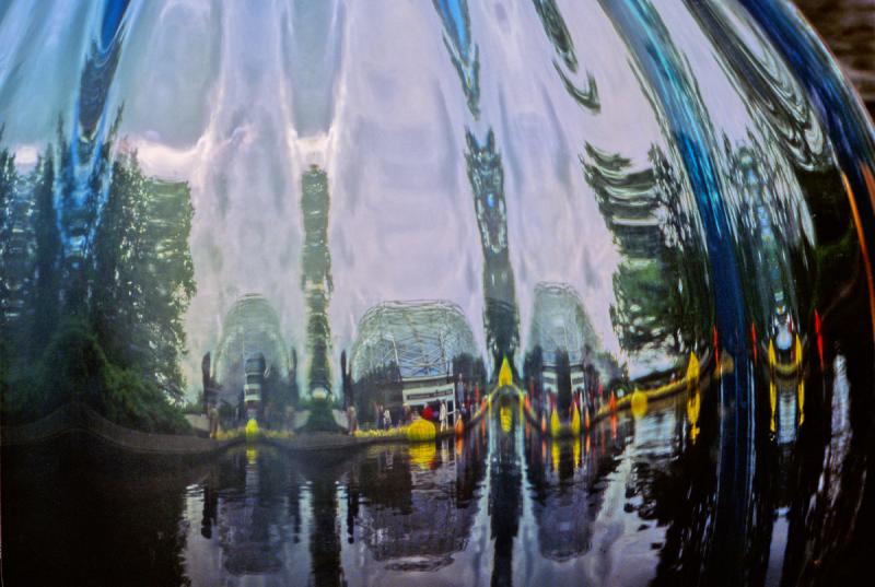 reflections in a floating galss ball 1