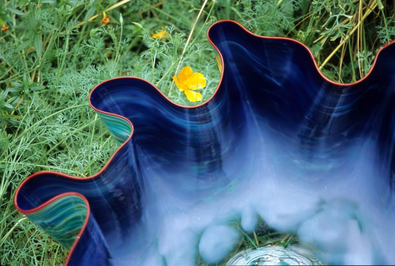 glass bowl and flower