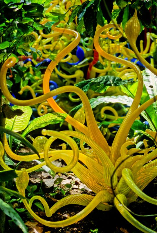 glass plant