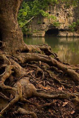 A cave on the Meramec River