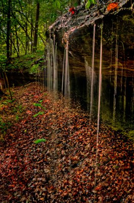 runoff after the rain