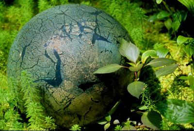 glass ball with plants