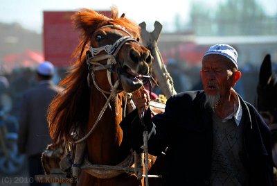 Kashgar Cattle Market