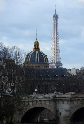 par_07 (12).jpg