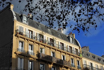 par_07 80.jpg