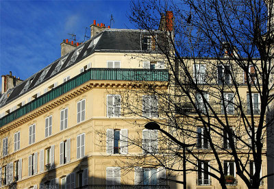 par_07 82.jpg