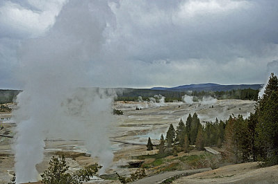 Geysers Yellowstone Wyoming