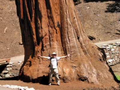 Sequoia and King, Californie