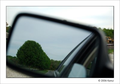 Sneaking Trees