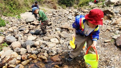 Finding the favorite stone