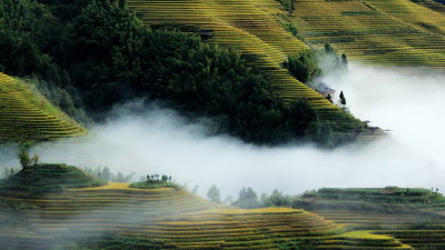 Gallery 1: Longji Rice Terrace