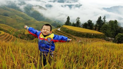 Gallery 2: Trip in Longji Rice Terrace