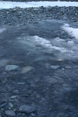IMG_5137_resize.jpg