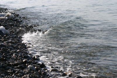 IMG_6411_resize.JPG