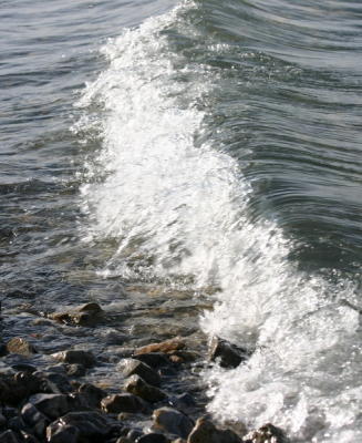 IMG_6413_resize.jpg