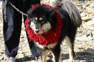 IMG_4687_resize.JPG