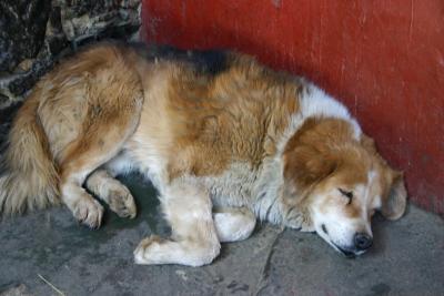IMG_5647_resize.jpg