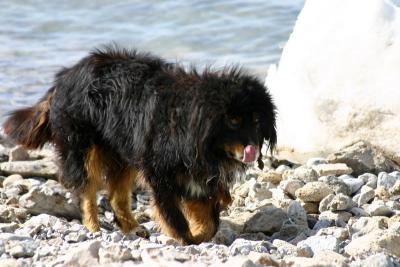 IMG_6595_resize.jpg