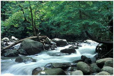 Smoky Mountain