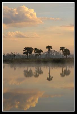 0512fl_102clean.jpg