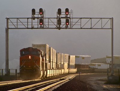 IMG_6574_TU.jpg