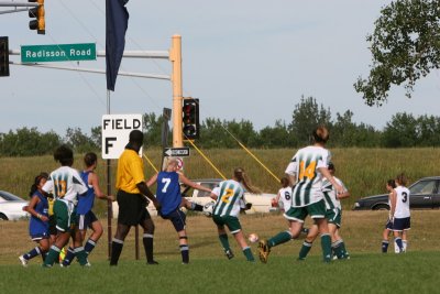 g4/52/678452/3/63843076.c58LJPCt.jpg