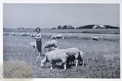 Holyday on the isle of Texel, 1957
