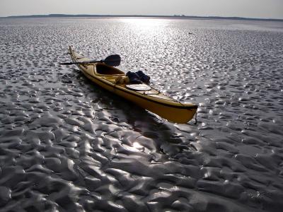 waddenzee