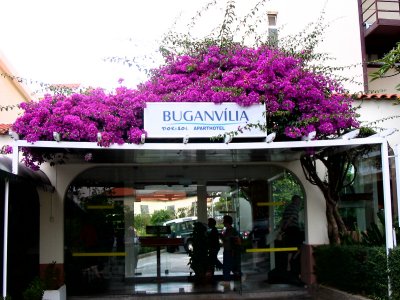 Bougainvillae Apt/ Hotel