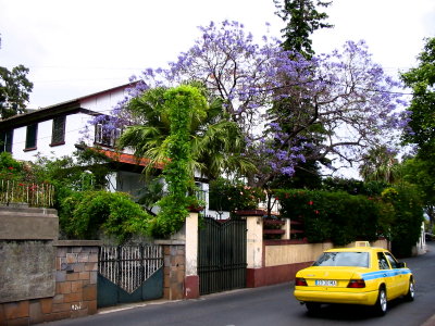 Funchal street scene -1