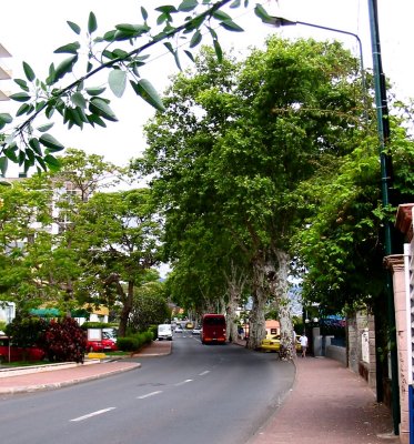 Funchal street scene -2