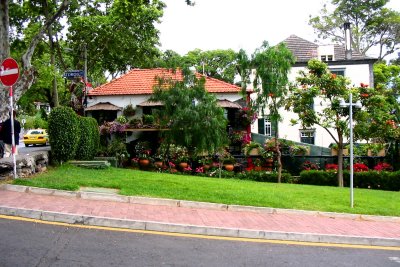 Funchal street scene -3
