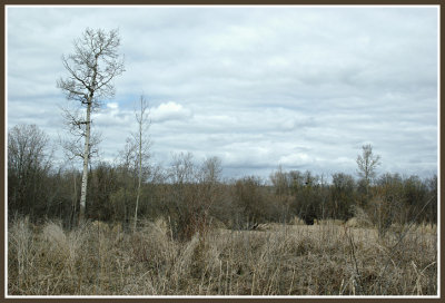 Blackbird Swamp, Vanderhoof