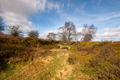 g4/52/794552/3/133142738.kFePkT20.jpg