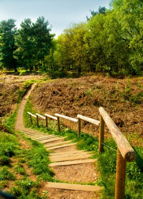 Castle ring footpath.jpg