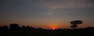 Dawn II