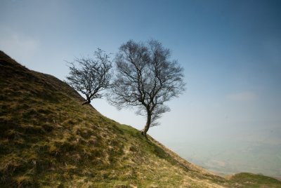 2 Trees - Backtor Nook.jpg