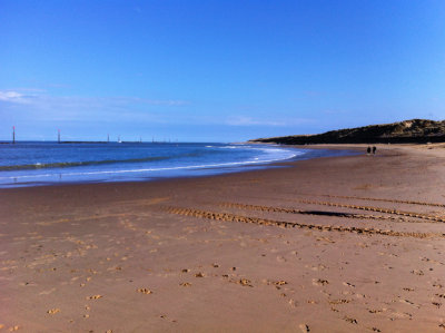Sea Palling Beech IV