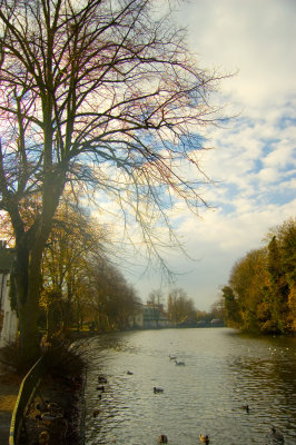 View down Minster pool.jpg
