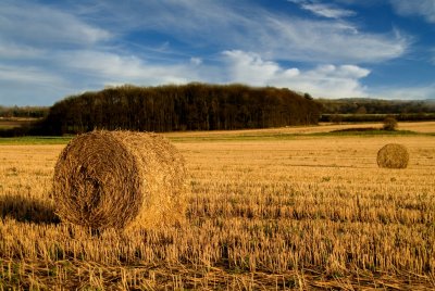Colour bales