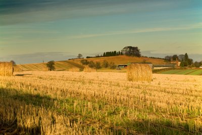 Colour bales 02
