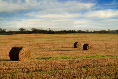 Colour bales 03